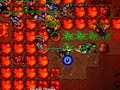 Tibia