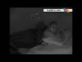 sigue el desmadre dentro de la casa de la academia los alumnos en competencia no pueden dormir