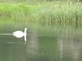 birdwatching-sprotborough-flash.html