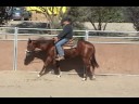 Flashy Dimension - 2007 sorrel AQHA filly for sale Flashy Dimension - 2007 sorrel AQHA filly for sale