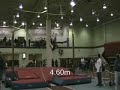 Massimo Bertocchi 4.75