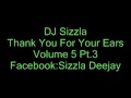 DJ SIZZLA THANK YOU FOR YOUR EARS VOL.5 (PART 3)
