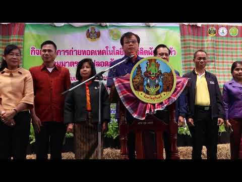 การขับเคลื่อนนโยบายในการยกระดับการผลิต "ผักกาดหัว" จังหวัดสุรินทร์