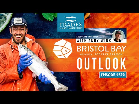 3MMI - Bristol Bay Sockeye Salmon Market Outlook - 50 Million Bristol Bay Harvest, Buyer Beware on Volume & Quality
