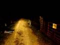 Dodgeville Messing Around