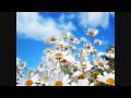 Yamin ft. Marcie - Forward Motion (Original Mix)