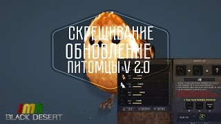 Black Desert - Питомцы. Обновление скрещивания и всей системы бонусов Black Desert - Питомцы. Обновление скрещивания и всей системы бонусов