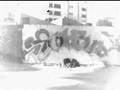 grafitty