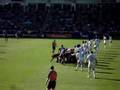 NEC Harlequins vs Sale Sharks