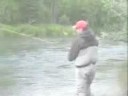 Alaska Rainbow Trout Fly Fishing