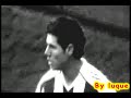 albert luque