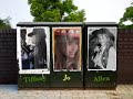 leann rimes   cowboy sweetheart sung by tiffany jo  age 9 