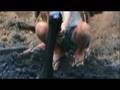 - MovieZen Video