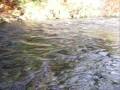videos de la peche de serge 4.wmv
