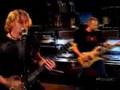 Animal - Nickleback