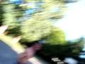 videos de basket