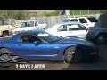 Vette Dogs: Episode 1 Vette Dogs: Episode 1