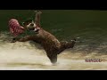 Yogi Bear (El oso Yogi) Trailer Español Latino FULL HD