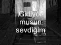 duygusal