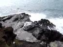 Blowhole - Hawaii Blowhole - Hawaii