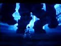 Shadow Of The Colossus - Friendly Colossus Glitch