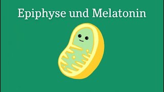 Bio-logisch!: Die Epiphyse und Melatonin