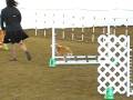 videos de kaley corgi -AKC agility jumpers- see her run! (nov 30 08)