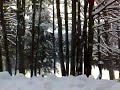 Lago di Fusine a Tarvisio con la neve by 123ziobilly Caltana Venezia.mp4