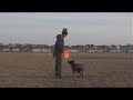WazFire: A special effects test. WazFire: A special effects test.