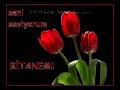 wildan
