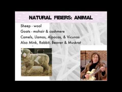 fibers - All credits given to Dr. Kang. This was uploaded because some people had trouble opening the files on Moodle.