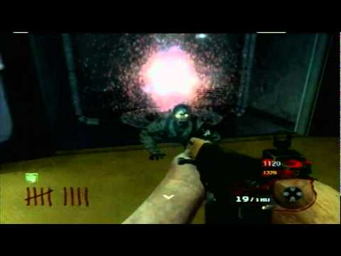 Call of Duty:Black ops Five Ichigo & Ganjou (part 2)