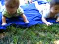Baby Playdate at the park