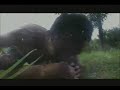 Purulent - Gravito\ Purulent - Gravito\