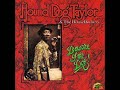 HOUND DOG TAYLOR lets get funky 1974