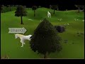 Sham00 Second Pkin Vid