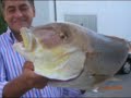 Calabria pesca on line, catture. Calabria pesca on line, catture.