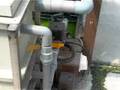 生態水培系統ecological aquaponics system