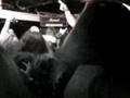 Deceased - The Eliminator (Agnostic Front ) Live