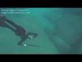 sinarit dentice di�li zipkin ile ta� alti alanya  turkey