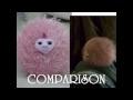 Micropuffs canadienses