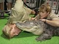 steve-irwin-tribute.html