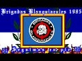 brigadas blanquiazules