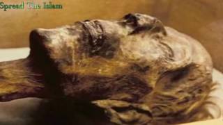 Firon Ki Laash Full Video Download