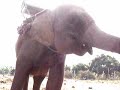 Part 3 - Thailand travels - Chaing Mai Part 3 - Thailand travels - Chaing Mai