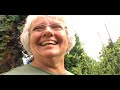 Gardening 101: How To Hand-Pollinate Tomatoes And Peppers Gardening 101: How To Hand-Pollinate Tomatoes And Peppers