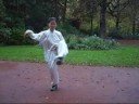 24 form style chen xinyi hunyuan tai chi quan(05-10-2008)
