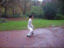 24 form style chen xinyi hunyuan tai chi quan(05-10-2008)