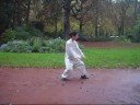 24 form style chen xinyi hunyuan tai chi quan(05-10-2008)