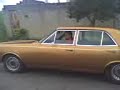 opala marrom 6cc zangado